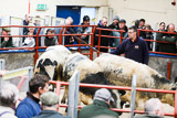 Longtown (6)